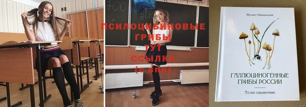 стафф Каменногорск