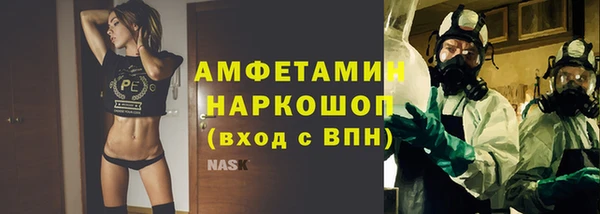стафф Каменногорск