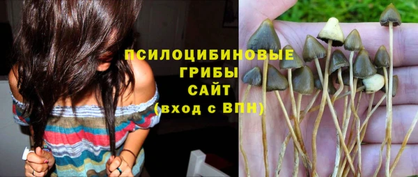 прущая мука Каменка