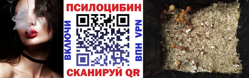 Галлюциногенные грибы мицелий  Купить закладки  Вичуга 